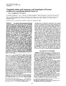 erythrocyte membrane protein band 4.2