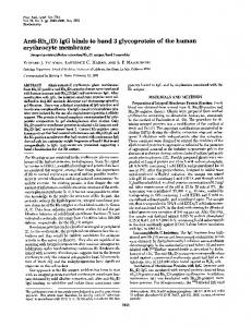 erythrocyte membrane - Semantic Scholar