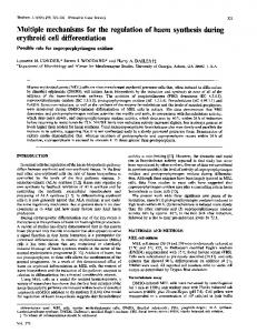 erythroid cell differentiation - NCBI