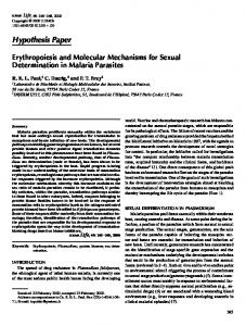 Erythropoiesis and Molecular Mechanisms for ... - Wiley Online Library