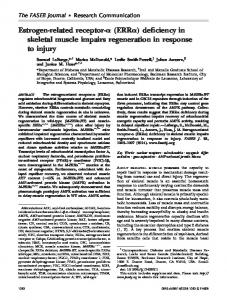 Estrogen-related receptor- (ERR ) deficiency in ... - The FASEB Journal