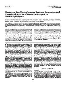 Estrogens, But Not Androgens, Regulate Expression and Functional ...