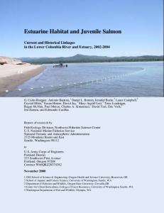 Estuarine Habitat and Juvenile Salmon