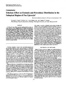 Ethylene Effect on Extensin and Peroxidase Distribution in the ... - NCBI