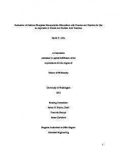 Evaluation of Calcium Phosphate Nanoparticles