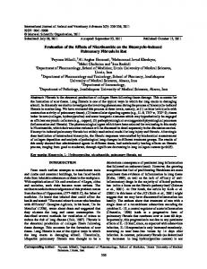 Evaluation of the effects of nicotinamide, cetirizine ... - Maxwell Science