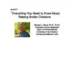 Everything You Need to Know About Raising Broiler Chickens
