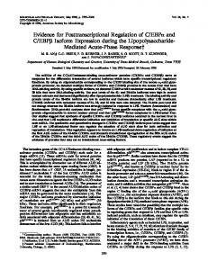 Evidence for Posttranscriptional Regulation of C/EBP and C/EBP ...