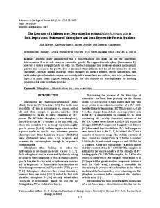 Evidence of Siderophore and Iron-Rep