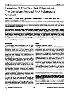 Evolution of Complex RNA Polymerases: The ... - Semantic Scholar