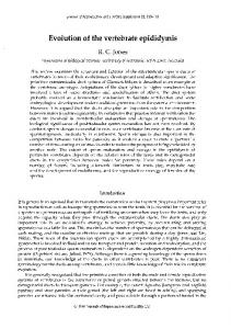 Evolution of the vertebrate epididymis