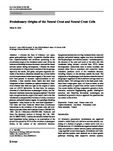 Evolutionary Origins of the Neural Crest and Neural Crest Cells ...