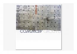 Excerpt Magazine Issue Common Ground - Squarespace