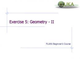 Exercise 5: Geometry - II - Fluka