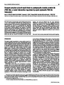 Exocyst complex subunit sec8 binds to ... - Semantic Scholar