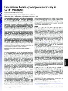 Experimental human cytomegalovirus latency in CD14 monocytes