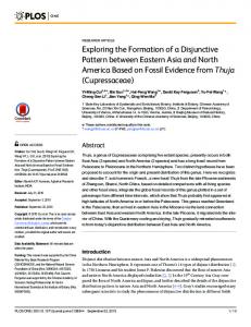 Exploring the Formation of a Disjunctive Pattern ... - Semantic Scholar