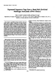 Expressed Sequence Tags from a Root-Hair ... - Plant Physiology