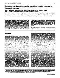 Expression and characterization of a recombinant ... - Semantic Scholar