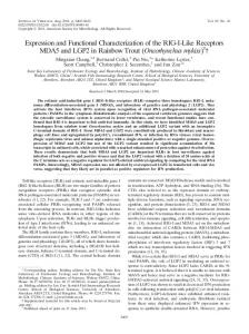 Expression and Functional Characterization of ... - Journal of Virology