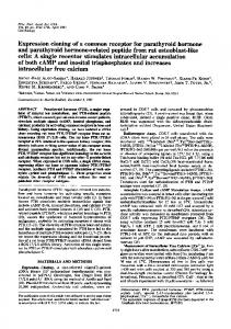 Expression cloning of a common receptor for parathyroid hormone ...