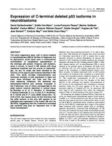 Expression of C-terminal deleted p53 isoforms in ... - BioMedSearch