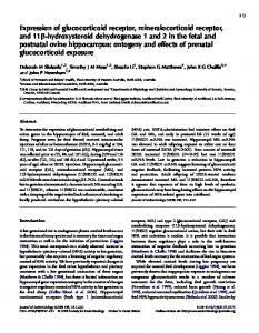 Expression of glucocorticoid receptor, mineralocorticoid receptor, and ...