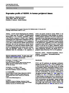 Expression profile of NSDHL in human peripheral tissues - Springer Link