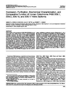 Expression, Purification, Biochemical Characterization, and ...