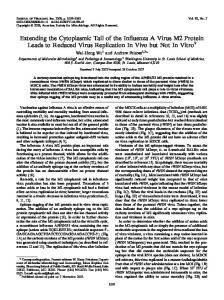 Extending the Cytoplasmic Tail of the Inffuenza A ... - Journal of Virology