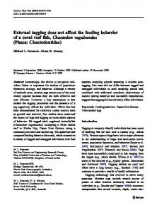 External tagging does not affect the feeding ... - Reef Ecology Lab