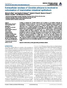 Extracellular enolase of Candida albicans is involved ... - BioMedSearch