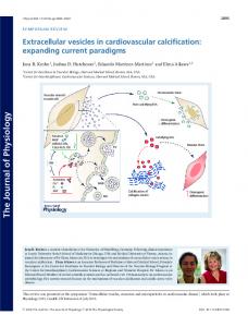 Extracellular vesicles in cardiovascular ... - Wiley Online Library