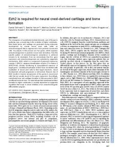 Ezh2 is required for neural crest-derived cartilage and ... - Development