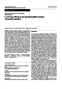 F- and V-type ATPases in the hyperthermophilic ... - Springer Link