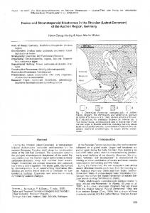 Facies and Stromatoporoid