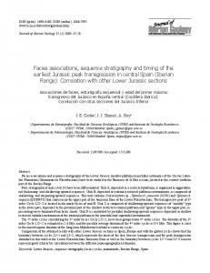 Facies associations, sequence stratigraphy and timing of the earliest ...