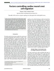 Factors controlling cardiac neural crest cell migration