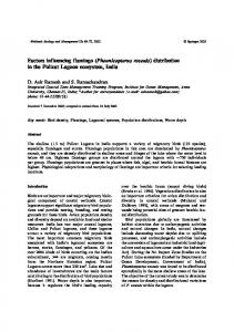 Factors influencing flamingo (Phoenicopterus roseuis) distribution in ...