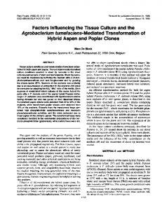 Factors Influencing the Tissue Culture and the Agrobacterium ... - NCBI