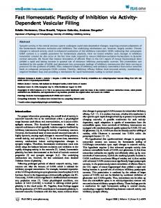 Fast Homeostatic Plasticity of Inhibition via Activity