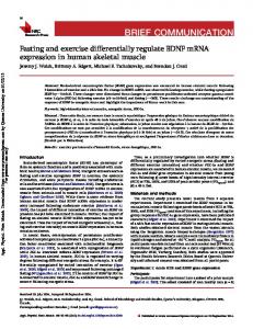 Fasting and exercise differentially regulate BDNF ...