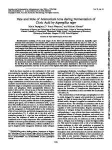 Fate and Role of Ammonium Ions during