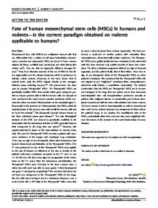 Fate of human mesenchymal stem cells (