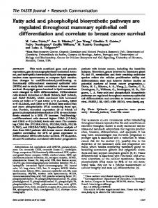 Fatty acid and phospholipid biosynthetic ... - The FASEB Journal