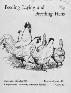 Feeding Laying and Breeding Hens