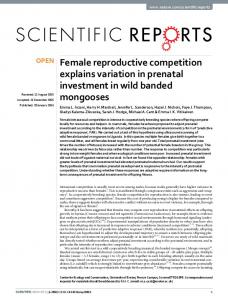 Female reproductive competition explains variation in prenatal ...