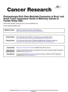 Female Wistar Rats Brca2 Tumor Suppressor Genes ...