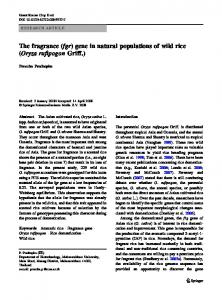 (fgr) gene in natural populations of wild rice (Oryza ...