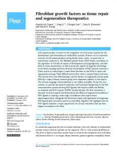 Fibroblast growth factors as tissue repair and regeneration therapeutics